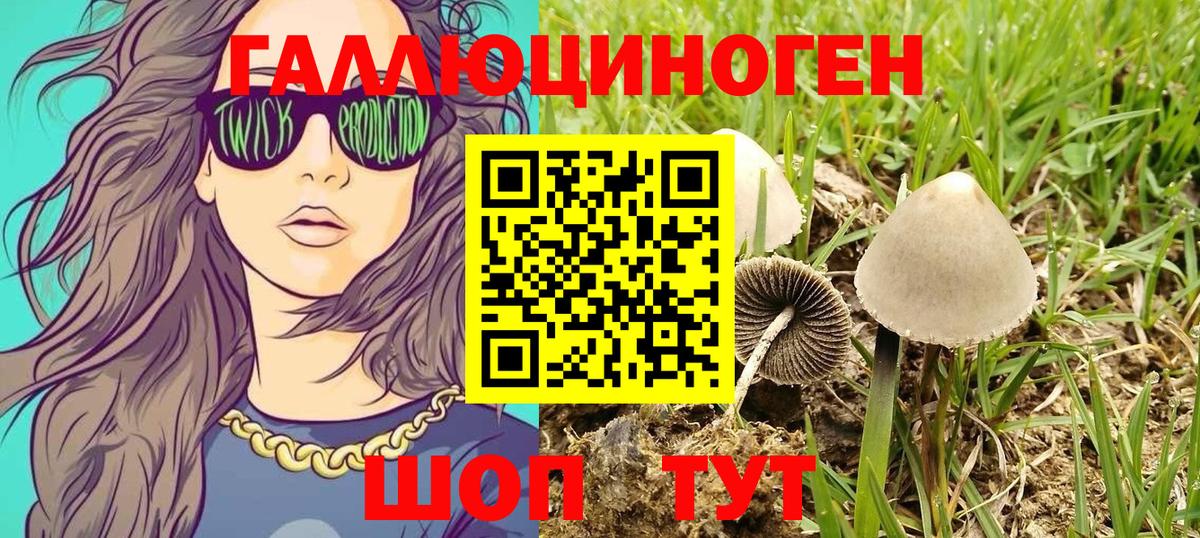 Галлюциногенные грибы Magic Shrooms Троицк