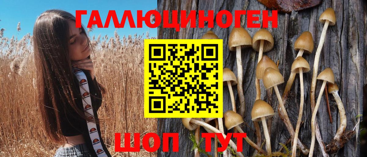 Галлюциногенные грибы Psilocybe  Вход с VPN  Троицк 